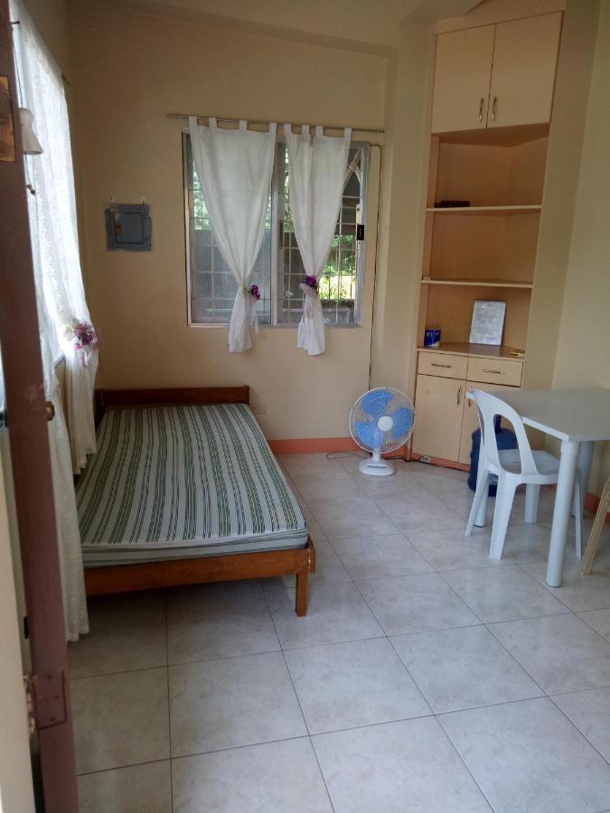 Violin Mountain Apartman Dumaguete City Kültér fotó